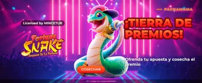 Fortune Snake Casino Experience